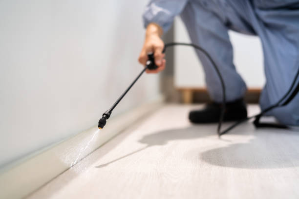 Certified termite inspector examining foundation in Farmville