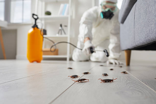 Commercial Kitchen Cockroach Control in Farmville